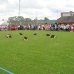 Snodland Carnival 2012 049